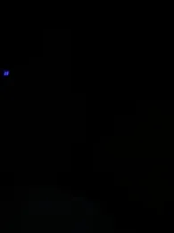 flavia337 — Stripchat stream photo (Feb 2026)