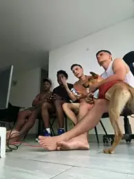 charles_king — вебкам-модель онлайн на stripchat