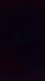 Daniela7145 — Cam4 stream photo (Feb 2026)