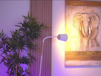 BlackCloverX — Bongacams stream photo (Sep 2026)