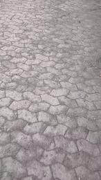 vogliadiculo1 — Cam4 stream photo (Mar 2026)