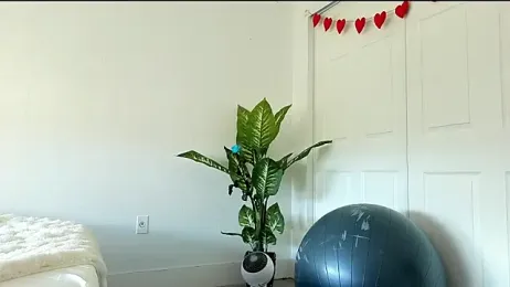 Sapphir3xoxo — stripchat