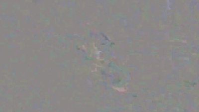 spain_worker — вебкам-модель онлайн на cam4