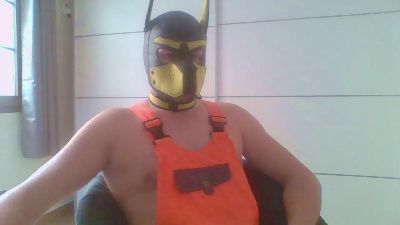 GelberBengel2ES — вебкам-модель онлайн на cam4