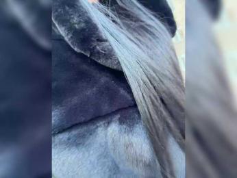 Liana-fit8 — Bongacams stream photo (Feb 2026)