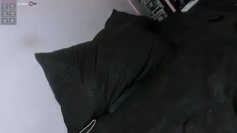 transilbriana — вебкам-модель онлайн на stripchat