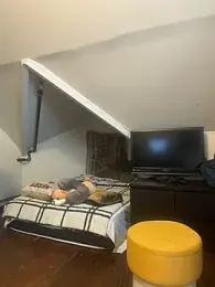 MynameisPaco — Stripchat stream photo (Feb 2026)