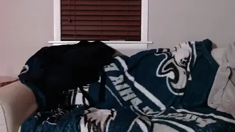 studlyhardwoodd — Stripchat stream photo (Apr 2026)