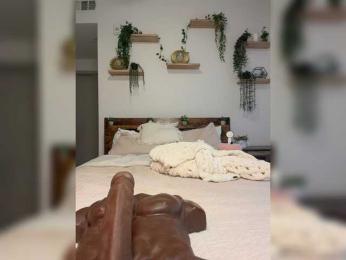 StonyPony — Bongacams profile photo