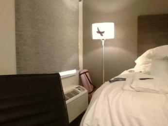 Adelaideskyy — Bongacams stream photo (Jun 2026)