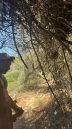 Pasivocaliente — Cam4 stream photo (Jul 2026)