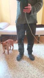 gato_travieso — вебкам-модель онлайн на cam4