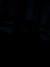 big_cock_is_back — Stripchat stream photo (Jan 2026)