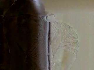 sweetellena — Camsoda stream photo (Jan 2026)