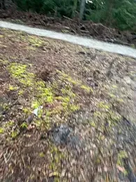 Sweetlauu — Stripchat stream photo (Mar 2026)