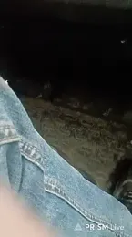 _Pipi_ — Stripchat stream photo (Feb 2026)