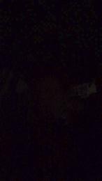 latinomulat1 — вебкам-модель онлайн на cam4