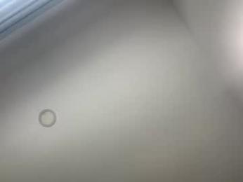 pavlovacoluccii_ — Chaturbate stream photo (Mar 2026)