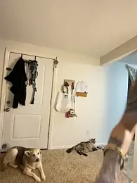 ThornsandHoney — Stripchat stream photo (Apr 2026)