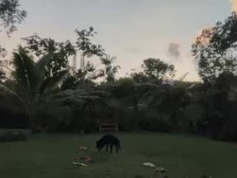 kaileeshy — Chaturbate stream photo (Apr 2026)