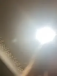 houseofcuriosity — stripchat
