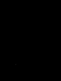 BingedHearts — Stripchat stream photo (Feb 2026)