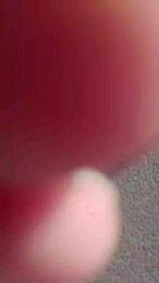 seby1982 — Cam4 profile photo