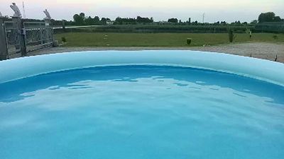 Maialino83 — вебкам-модель онлайн на cam4