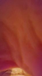 corpodausare — Cam4 stream photo (Apr 2026)