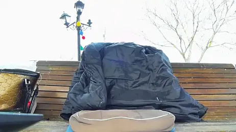 MellyBigLabiaOrgasmic — Stripchat stream photo (Jan 2026)