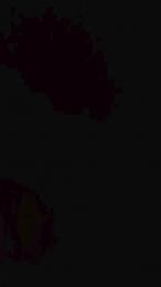 teddy2008 — Cam4 profile photo