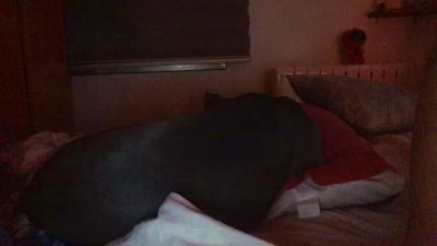 gorka19hot — вебкам-модель онлайн на cam4