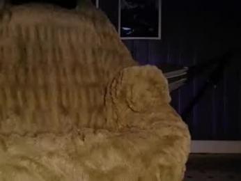 theehhteam — Chaturbate stream photo (Feb 2026)