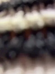 nide-laoshi — Stripchat stream photo (Apr 2026)