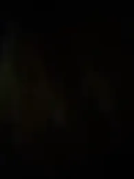 nide-laoshi — Stripchat stream photo (Apr 2026)