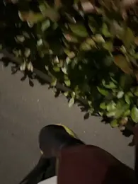 nide-laoshi — Stripchat stream photo (Apr 2026)