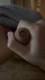 mos1333 — Cam4 stream photo (Feb 2026)