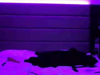 majorredeye40 — Camsoda stream photo (Mar 2026)