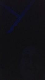 Pupamarty — Cam4 stream photo (Apr 2026)