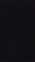 Pupamarty — Cam4 stream photo (Apr 2026)