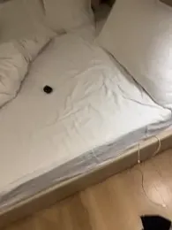 your-hugehard-ashi — Stripchat stream photo (Apr 2026)