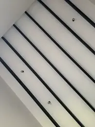 curchez_ — Stripchat stream photo (Apr 2026)