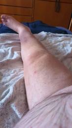 otelmo — Cam4 profile photo