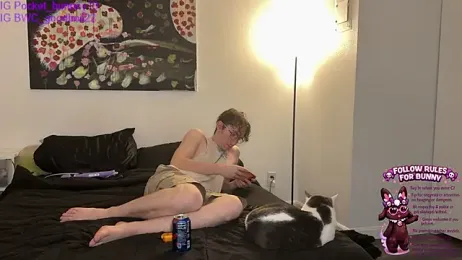 pocket_bunnny19 — Stripchat stream photo (Jan 2026)