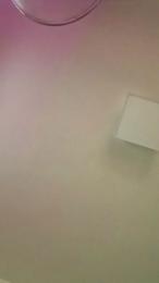 Chacha1984 — Cam4 stream photo (Feb 2025)