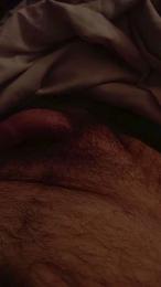 davidof3127 — Cam4 stream photo (Jan 2026)