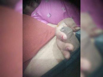 Cute-Couple — Bongacams stream photo (May 2024)