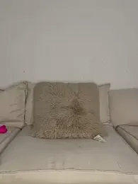 joeystaciee — Stripchat stream photo (Feb 2026)