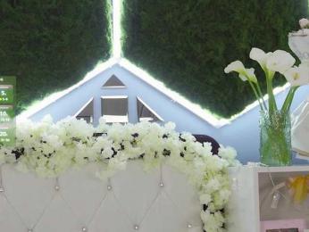 rosess_ — Bongacams stream photo (Apr 2026)