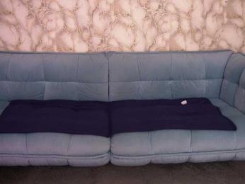 LiviaShy — Bongacams stream photo (Apr 2026)